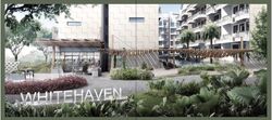 Whitehaven (D5), Apartment #503616261